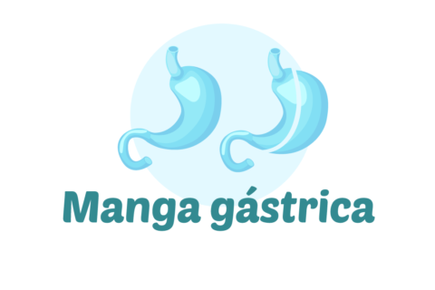 MANGA GÁSTRICA